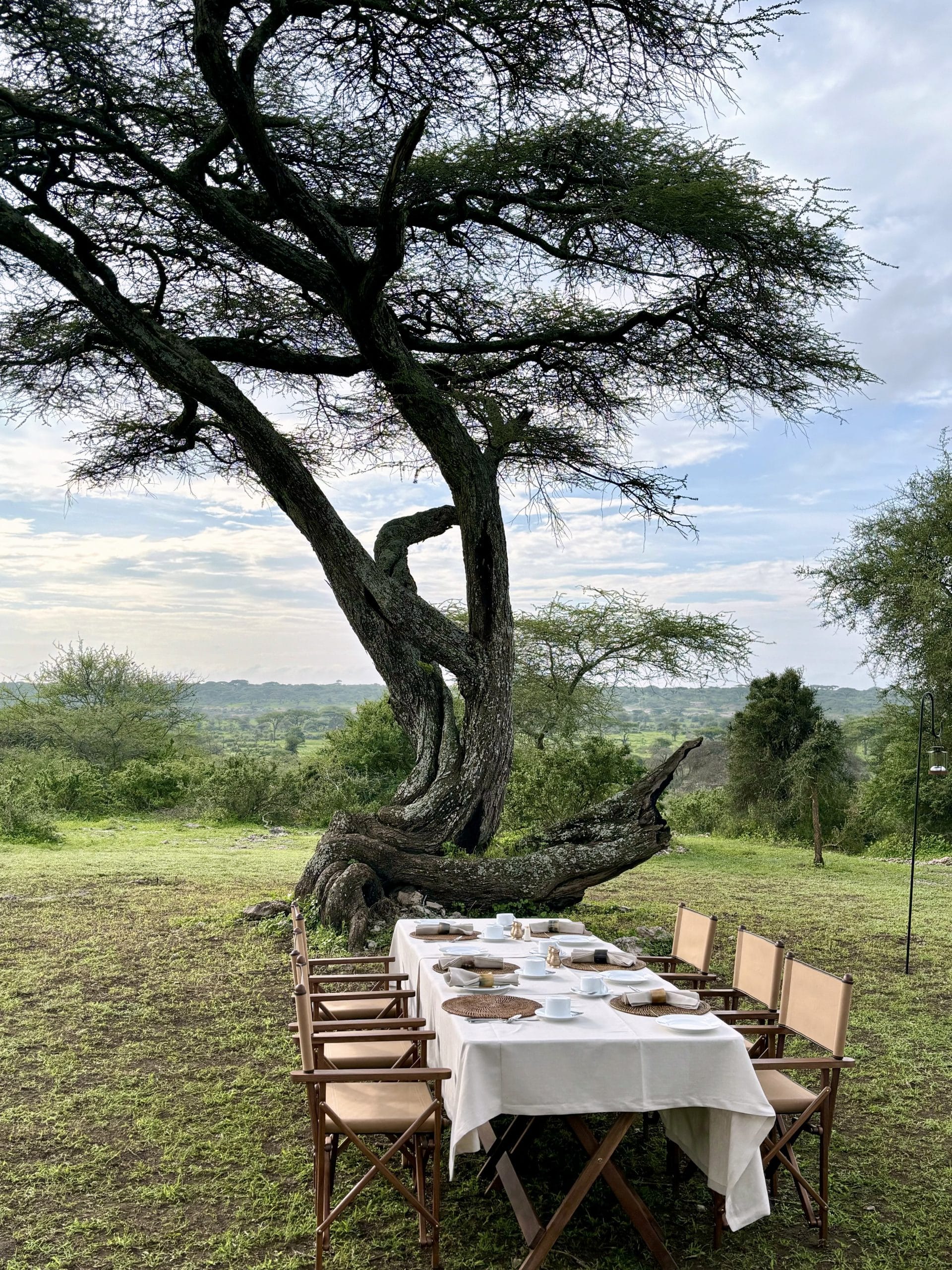 Laba Migration Camp Tanzanie diner en exterieur