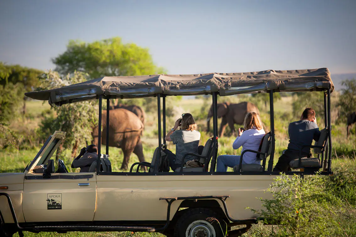 Apoka Safari Lodge Ouganda safari