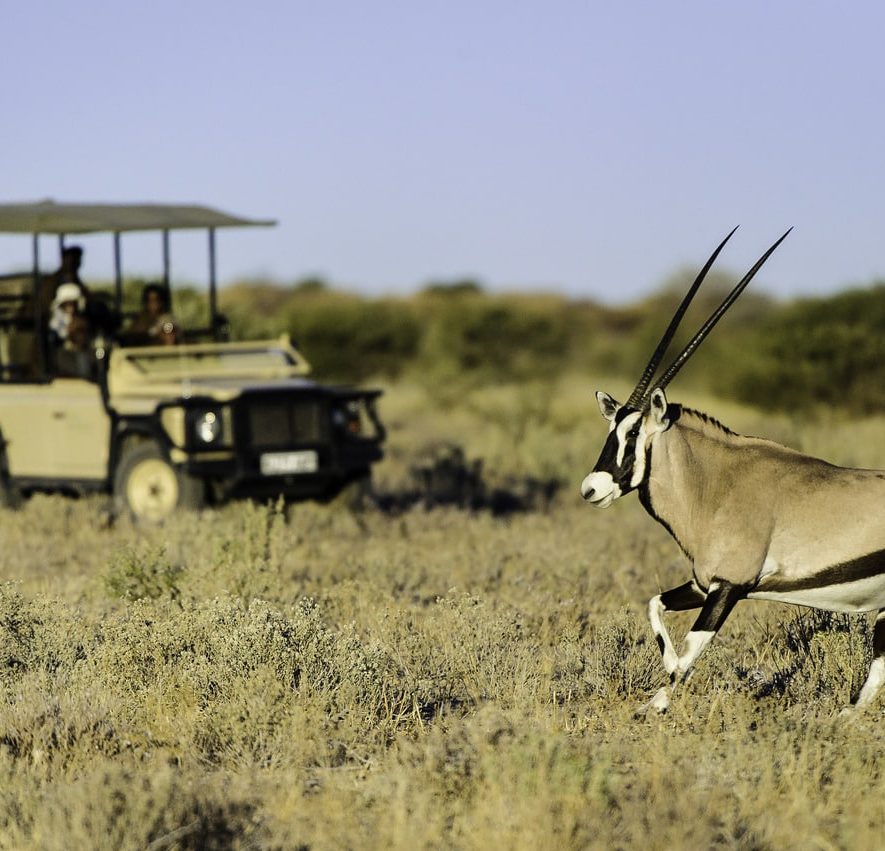 Kalahari plains camp botswana safari voiture