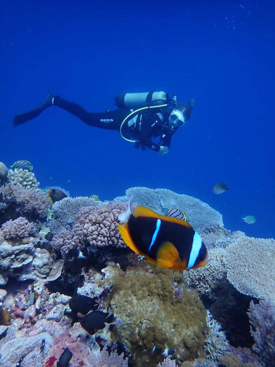 Fundu Lagoon Pemba plongée