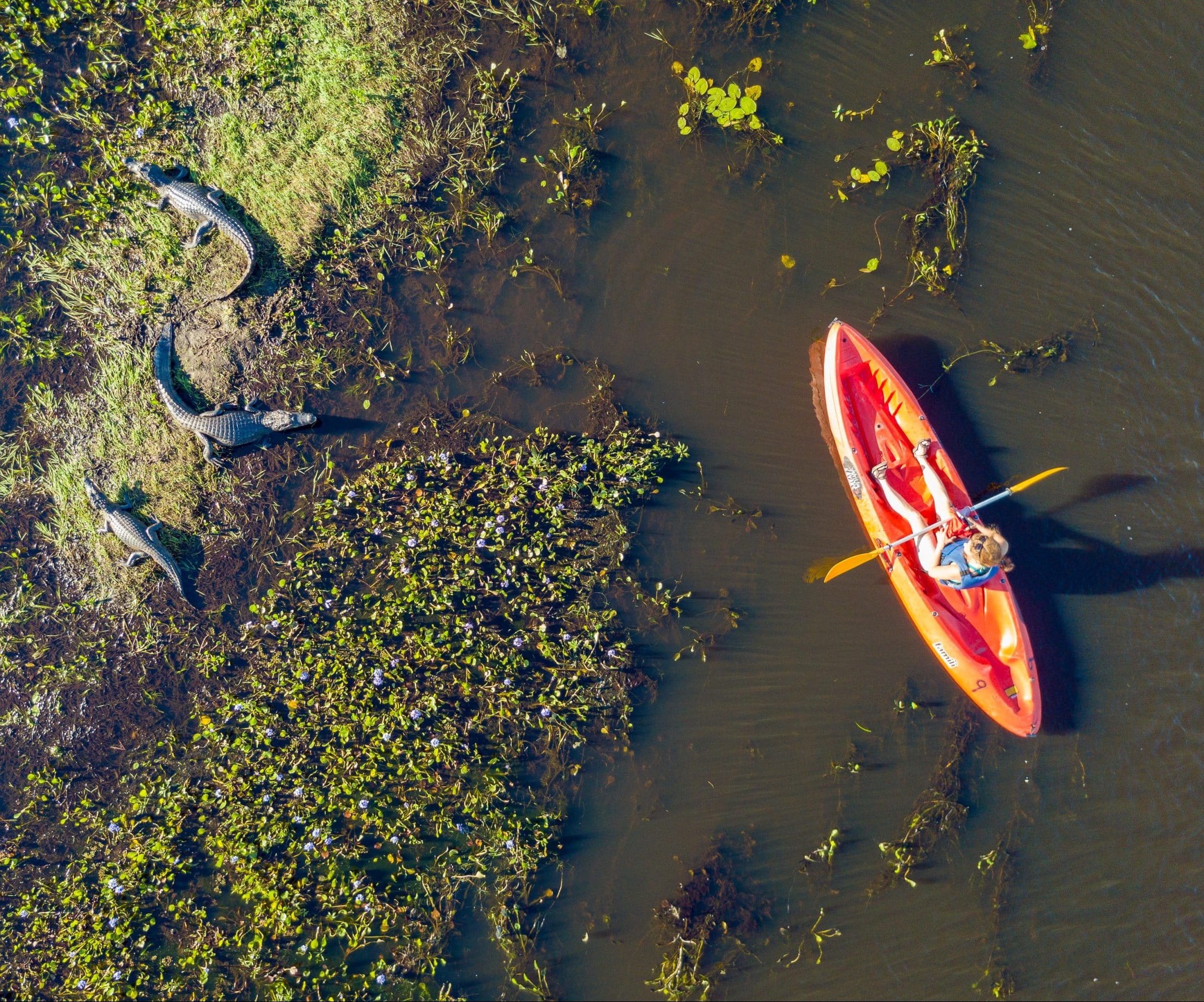 Rincón del Socorro Argentine kayak et alligators