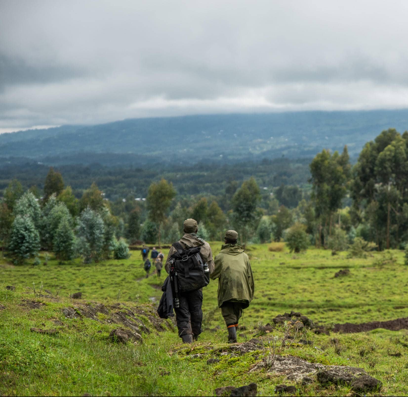 Sabyinyo Silverback Lodge Rwanda expédition nature