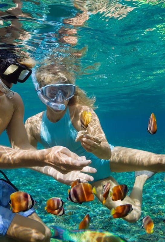 LUX Le Morne île Maurice plongée sous marine