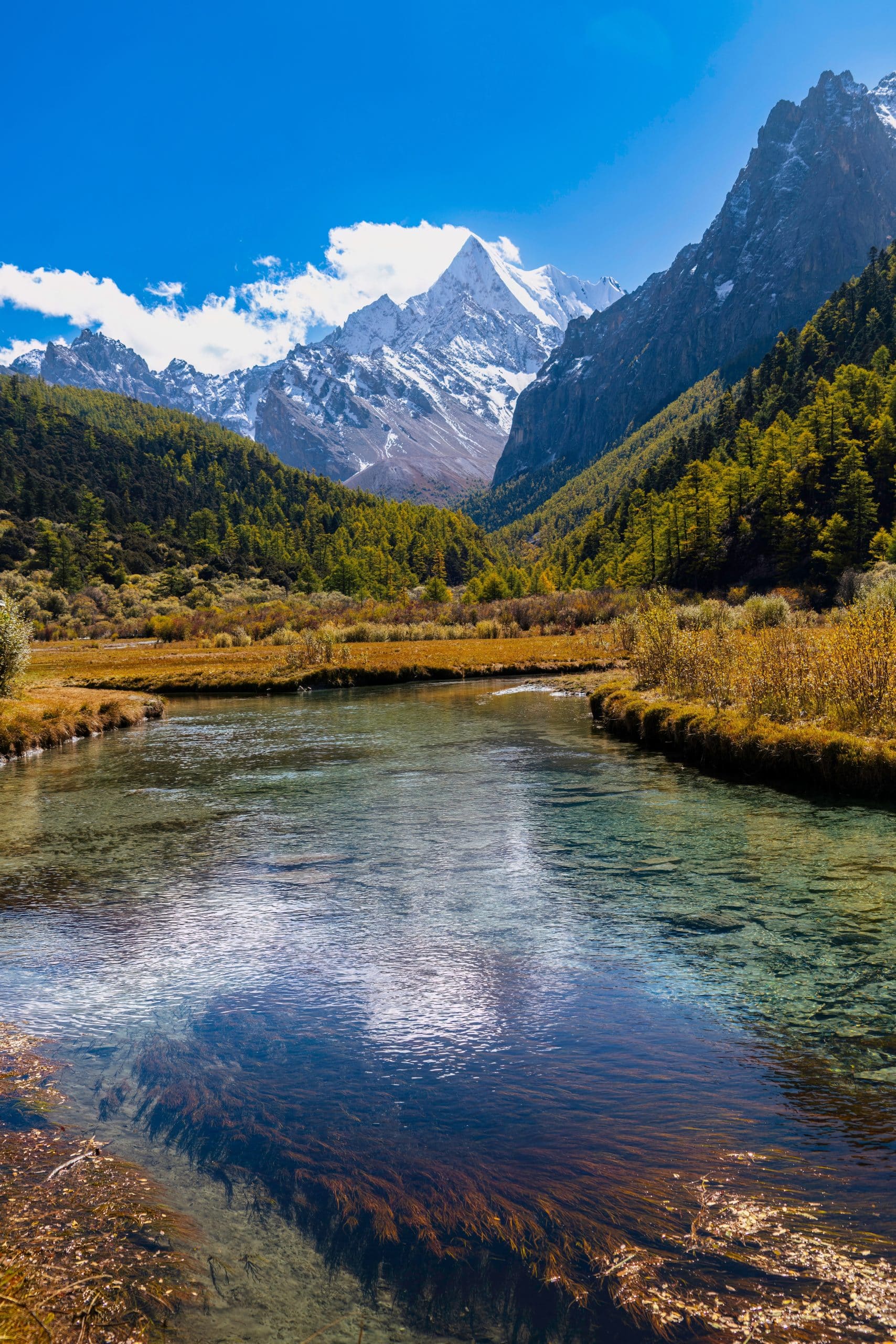 Panaromic,View,Of,Autumn,Highland,Snow,Mountain,Of,Yading,Nature