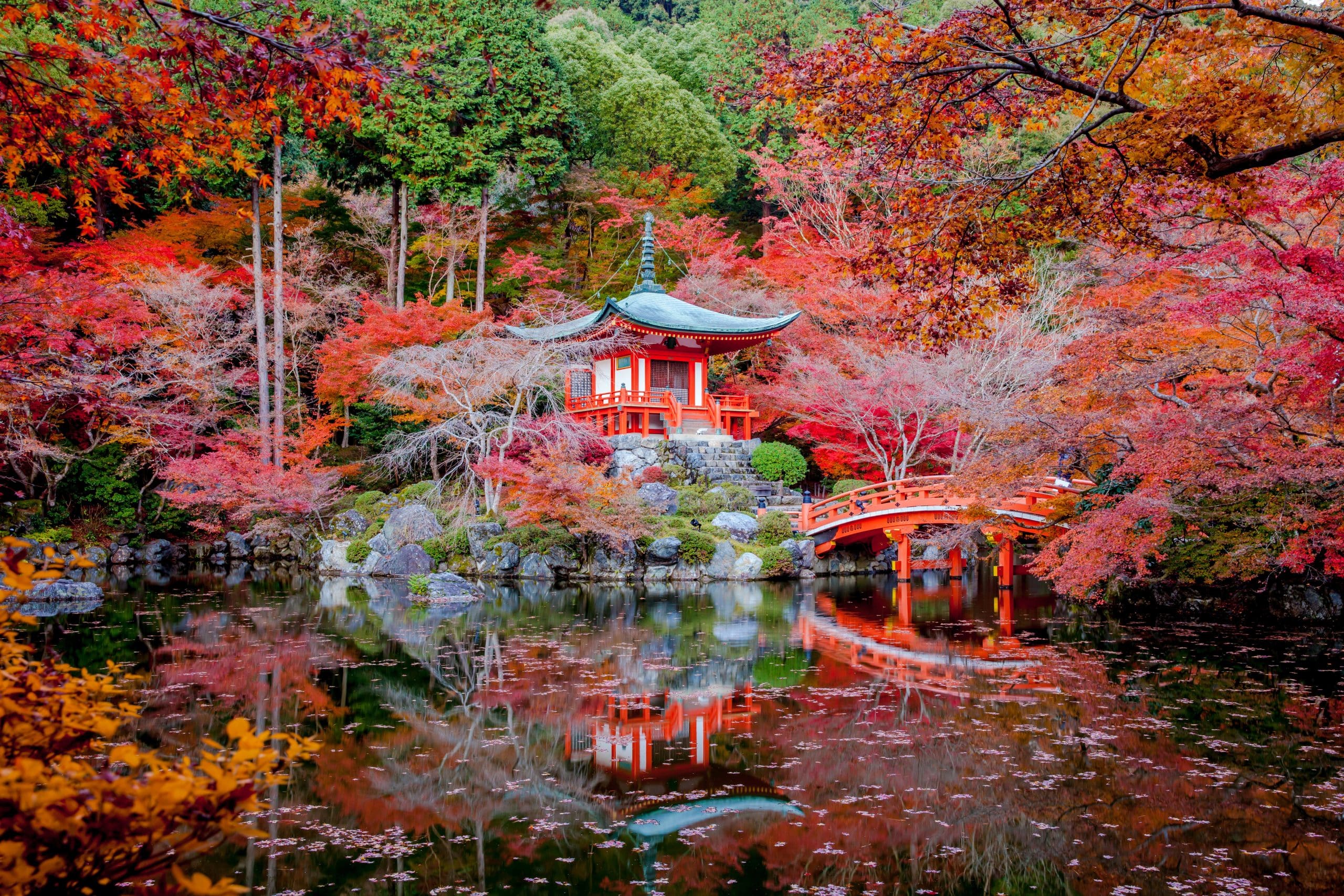 L’art japonais et le raffinement dans l’empire du soleil levant paysage de jardin