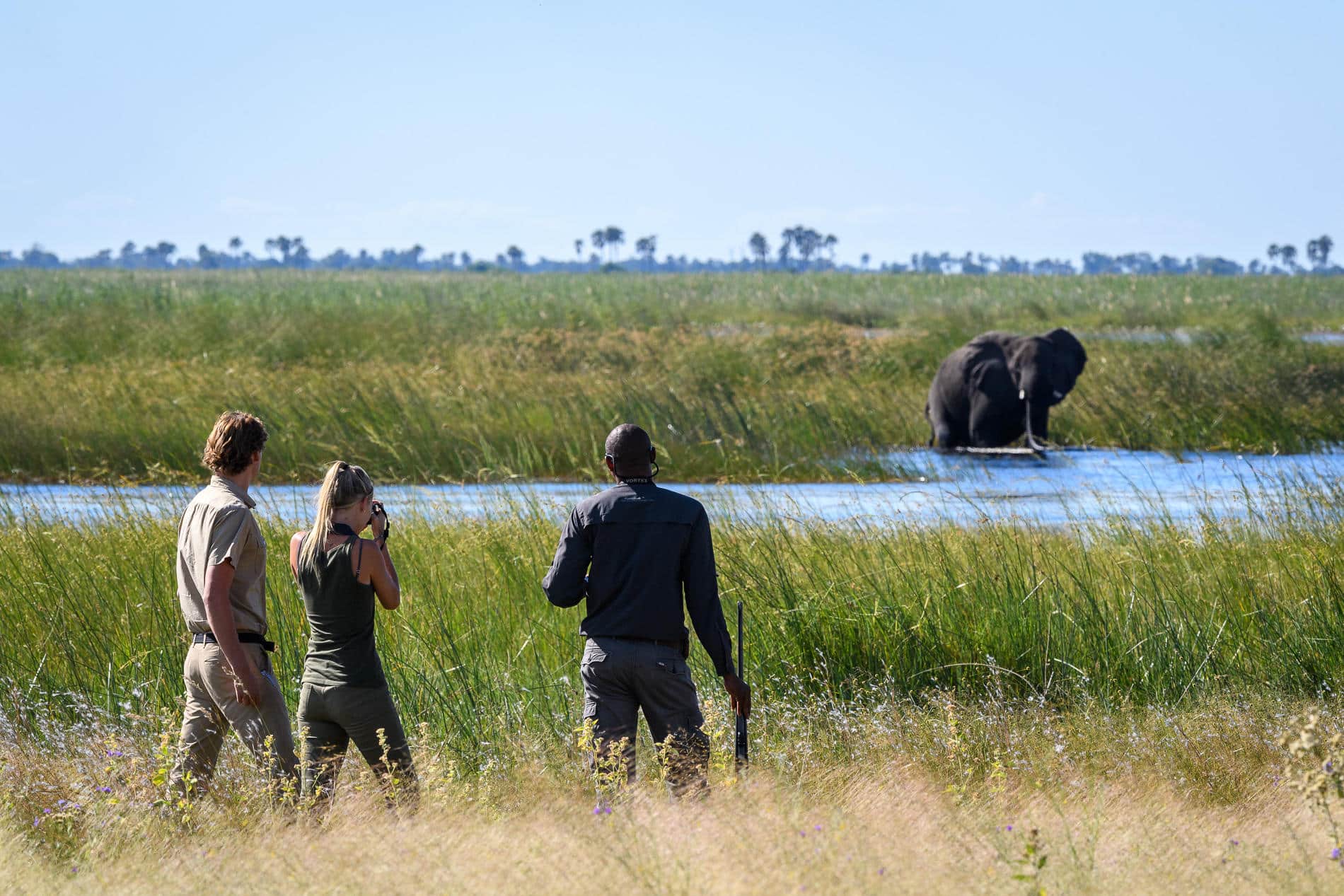 Wilderness DumaTau Botswana safari à pied dans le delta de l'Okavango